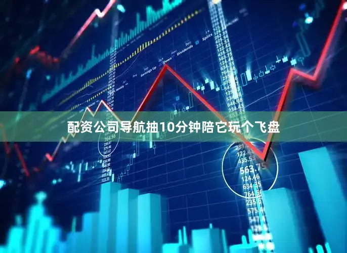 配资公司导航抽10分钟陪它玩个飞盘