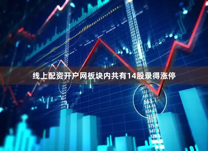 线上配资开户网板块内共有14股录得涨停